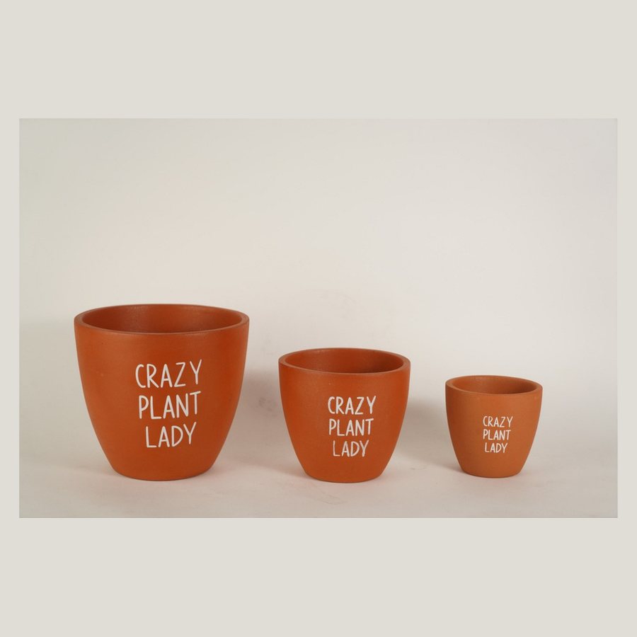 Slogan Print Planter
