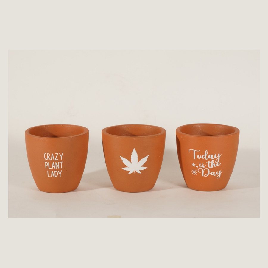 Slogan Print Planter, Single