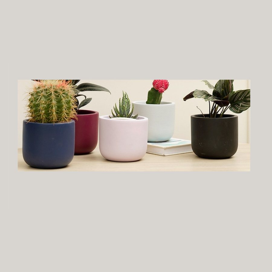 Colour-Dipped Cachepot