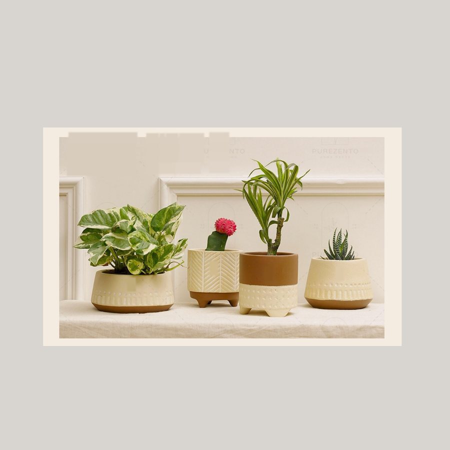 Painted Planter, Set of Four